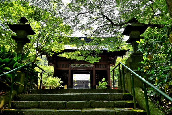 S_500zDSC_0859_36932.JPG