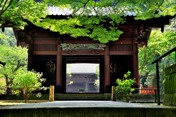 S_500zDSC_0867_36939.JPG