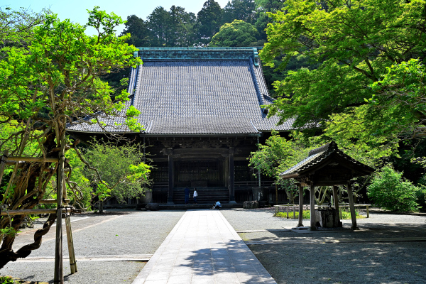 S_500zDSC_0886_36946.JPG