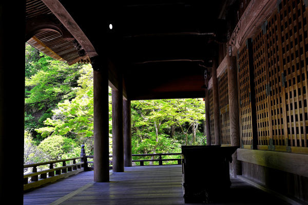 S_500zDSC_0904_36962.JPG