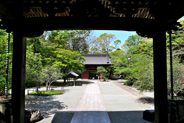 S_500zDSC_0906_36963.JPG