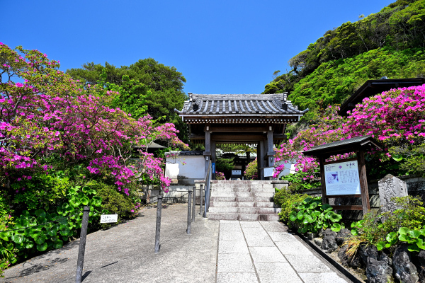S_500zDSC_0960_37004.JPG