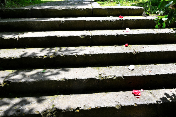 S_500zDSC_1034_37053.JPG