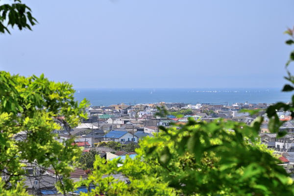 S_500zDSC_1050_37062.JPG