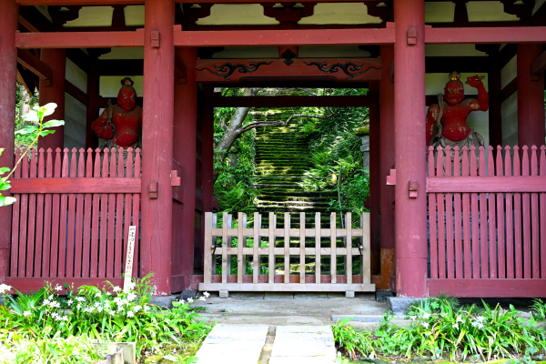S_500zDSC_1065_37075.JPG