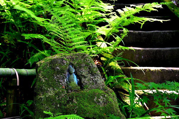 S_500zDSC_1132_37135.JPG