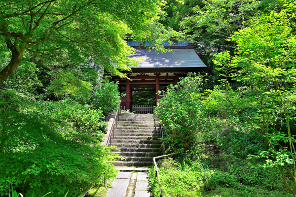 S_500zDSC_1159_37151.JPG