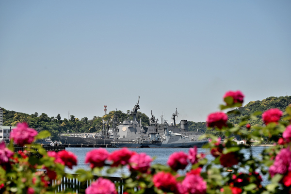 S_500zDSC_1501_37760.JPG