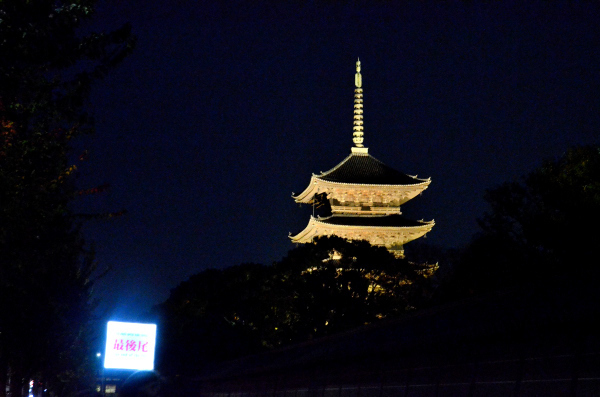 S_500zDSC_4983_27035.JPG