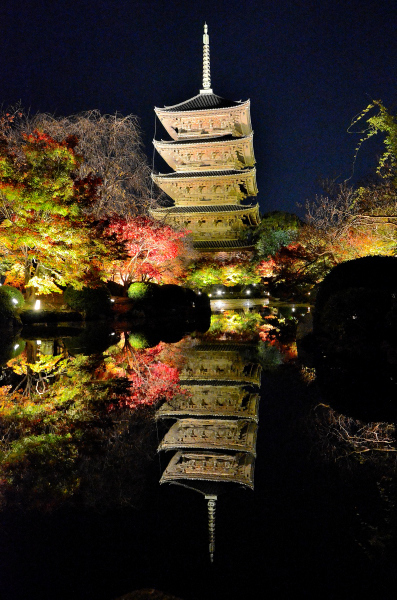 S_500zDSC_4990_27042.JPG