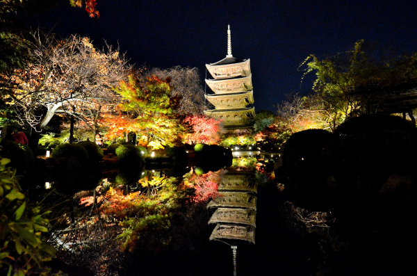 S_500zDSC_5001_27053.JPG