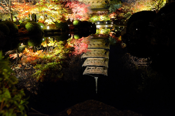 S_500zDSC_5006_27058.JPG