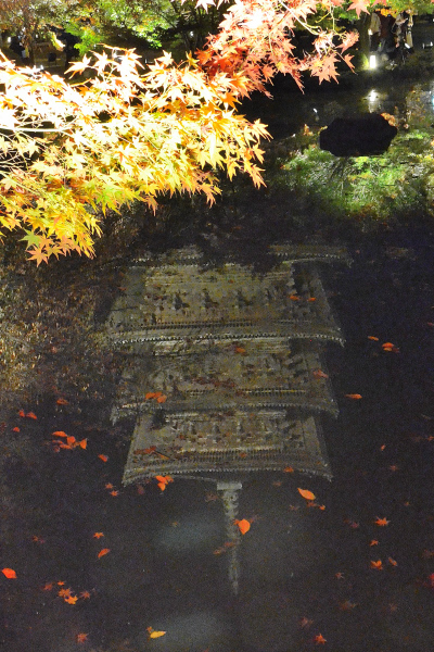 S_500zDSC_5028_27078.JPG