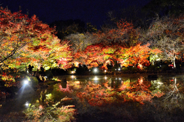 S_500zDSC_5095_27130.JPG