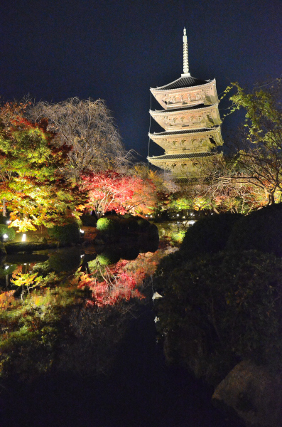 S_500zDSC_5097_27132.JPG
