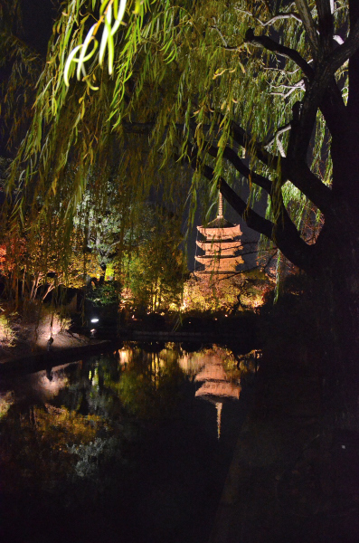 S_500zDSC_5099_27134.JPG