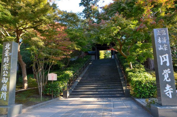 S_500zDSC_8409_18141.JPG