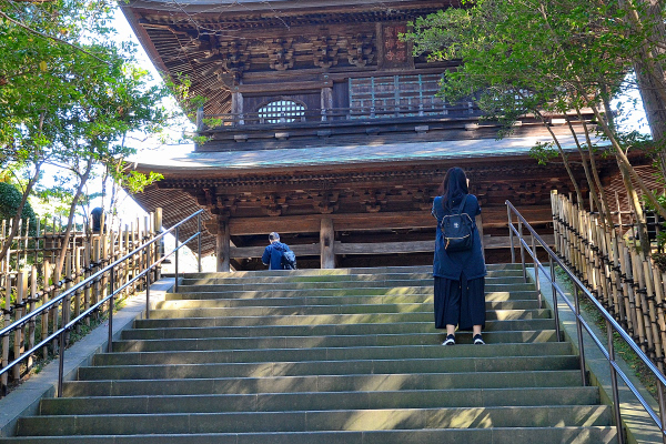 S_500zDSC_8581_18224.JPG