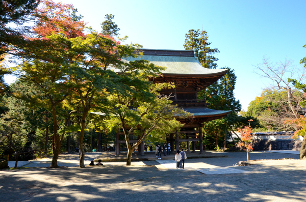 S_500zDSC_8593_18234.JPG