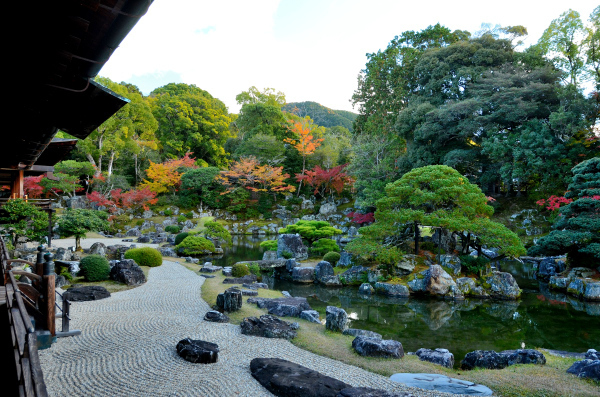 S_500zDSC_8657_34032.JPG