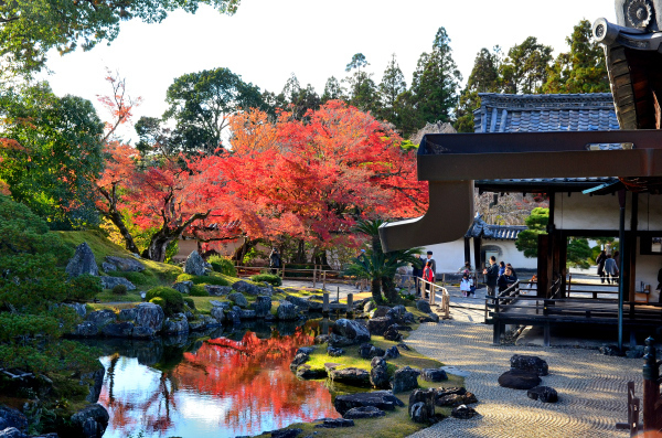 S_500zDSC_8671_34043.JPG