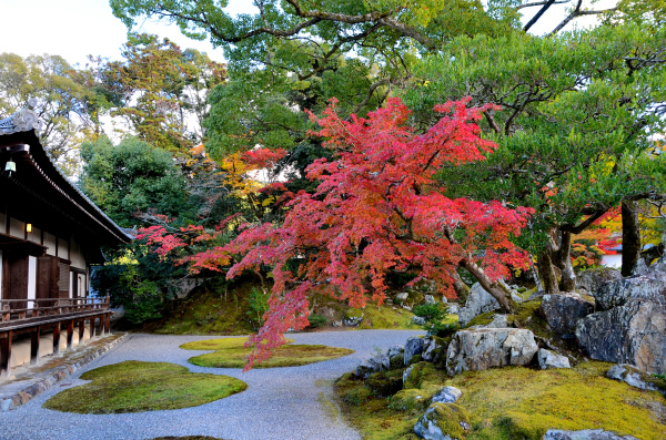 S_500zDSC_8674_34046.JPG