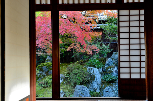 S_500zDSC_8740_34095.JPG