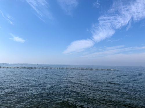 S_500zIMG_0544_25688.JPG