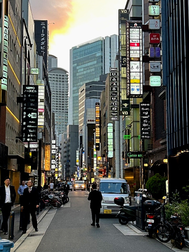 S_500zIMG_4101 (2)_38027.JPG