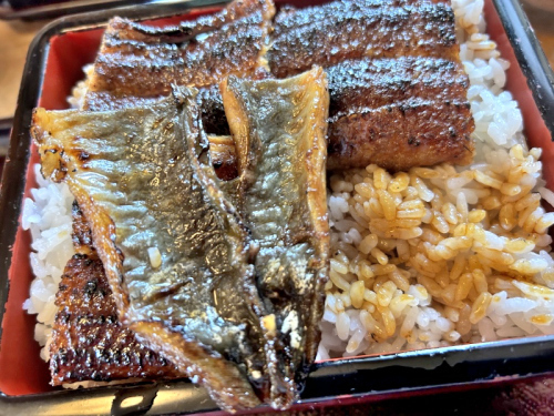 S_500zIMG_5880 (2)_38930.JPG