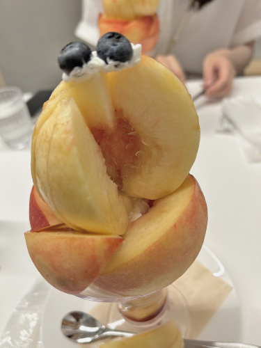 S_500zIMG_7494 (2)_31381.JPG
