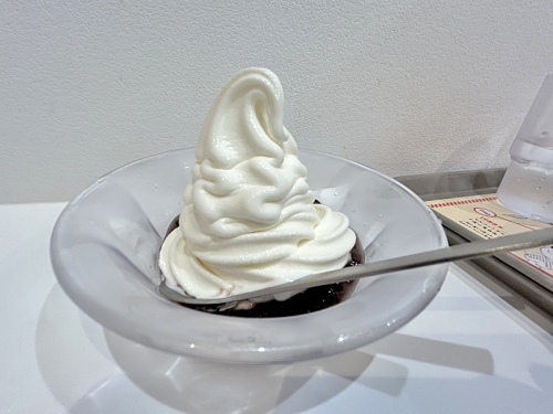 S_500zIMG_7667 (2)_39929.JPG