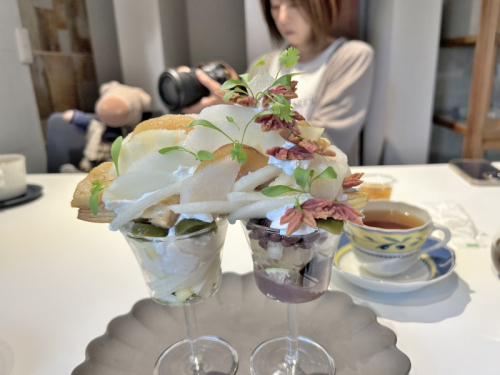 S_500zIMG_8100 (2)_40261.JPG