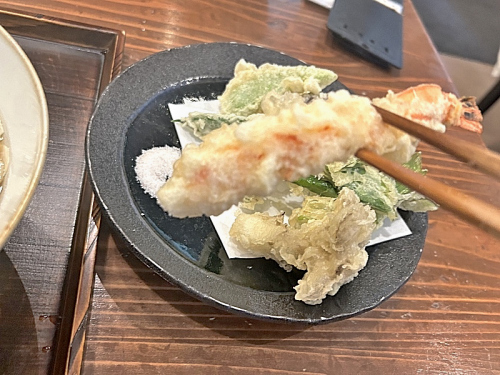 S_500zIMG_9204 (2)_41175.JPG